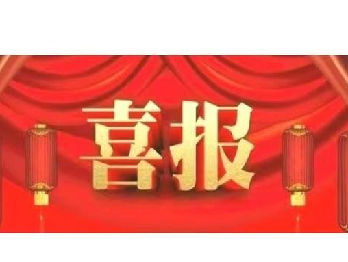 大連路陽科技開發有限公司的“PEEK改性材料及制品制備技術”，被遼寧省 ...