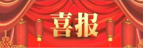 大連路陽科技開發(fā)有限公司的“PEEK改性材料及制品制備技術”，被遼寧省 ...